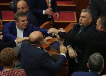 Sherri në Kuvend, Nallbati: Sina më provokoi, u turr të më qëllonte