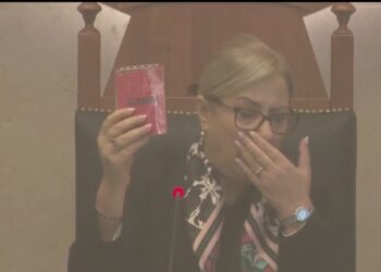 FOTO/ Korreshi hodhi tymuese, por vuri në vështirësi Berishën…