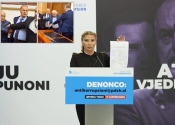 PD: Si i fiton tenderat e ushqimit pa konkurent deputeti Qefalia