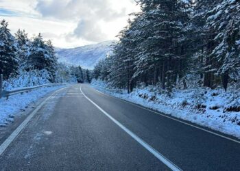 Rihapet qarkullimi në Rrugën e Arbrit, policia u bën apel drejtuesve