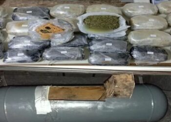 Kapen mbi 26 kg kanabis, si policia greke futi në kurth dy shqiptarët