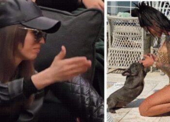 “Leh si qeni i Morena Tarakut”/ Shqipja zihet keq me Buçin në BBV