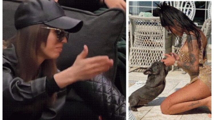 “Leh si qeni i Morena Tarakut”/ Shqipja zihet keq me Buçin në BBV