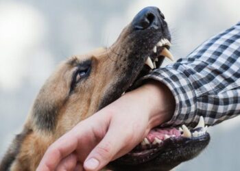 Aksioni opozitar, Pampuri ia kalon edhe Spiropalit: Luftë për karrige