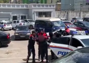 Me kanabis dhe kokainë, arrestohen tre trafikantë në Lezhë e Mirditë (EMRAT)