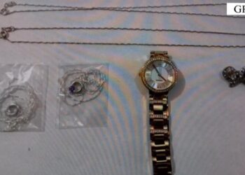 Kapet duke vjedhur një banesë 19-vjeçari në Gramsh