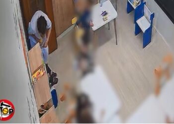 Dhuna ndaj 3-vjeçares, procedohet pronari i kopshtit pa licencë