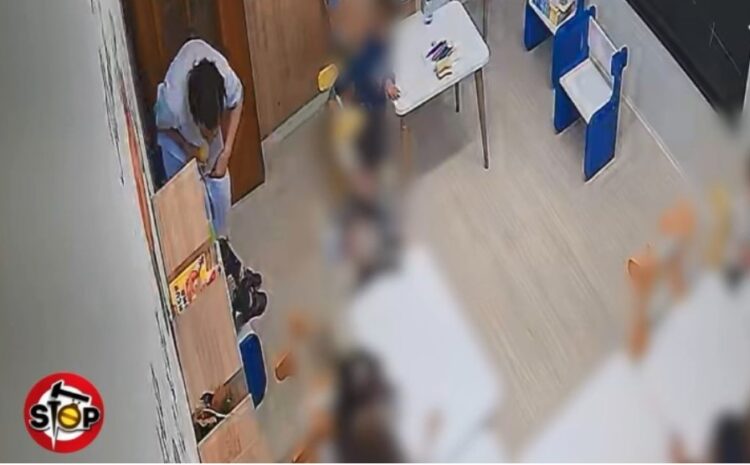 Dhuna ndaj 3-vjeçares, procedohet pronari i kopshtit pa licencë