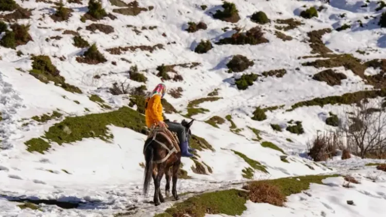 “Pa Kosovën vdesim”, fshati verior siguron jetesën përtej kufirit