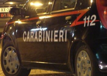 Trafiku i drogës, mbyllen hetimet për tre bandat kriminale në Itali