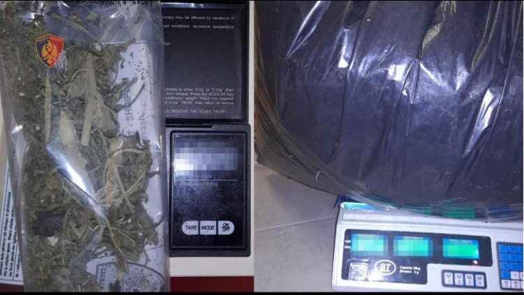 Operacion anti-drogë në Vlorë, sekuestrohet kanabis gati për trafikim