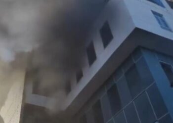 Zjarri në Lushnjë/ Forcave zjarrfikëse u bashkohet RENEA