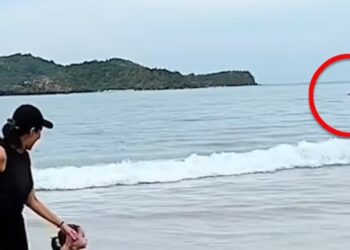 VIDEO/ E tmerrshme, peshkaqeni sulmon në breg notarin