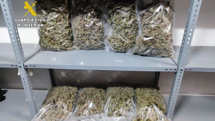 Kapet me 92 kg marijuanë, arrestohet shqiptari në Spanjë