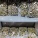 Kapet me 92 kg marijuanë, arrestohet shqiptari në Spanjë