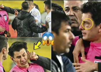 I ra në grusht arbitrit, habit presidenti i klubit: U rrëzua vetë