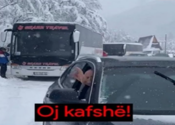 “Oj kafshë”, sulmohet gazetarja shqiptare. Çfarë po ndodh…