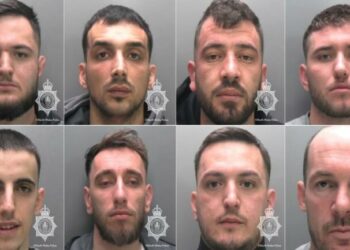 Kultivim dhe trafik kanabisi, burg për tetë shqiptarët në Uells