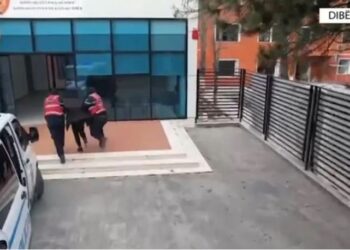 Dy vëllezërit shisnin kanabis/ Arrestohet njëri, tjetri në kërkim