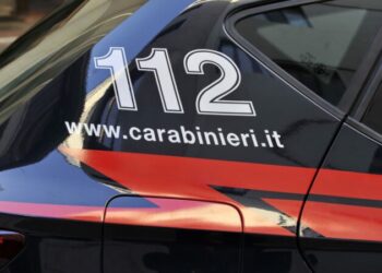 E spiunuan banorët e zonës, arrestohet 20-vjeçari shqiptar në Itali