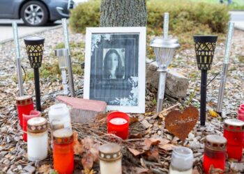 Masakroi gruan me thikë, filmoi skenën kur ajo jepte shpirt/ Dënohet me burg përjetë shqiptari