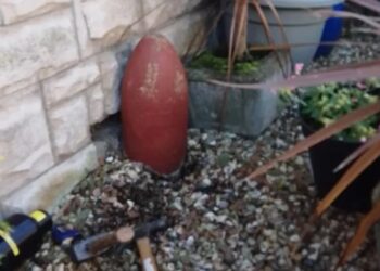 Lulja mendohej se ishte dekorative por rezultoi një raketë aktive