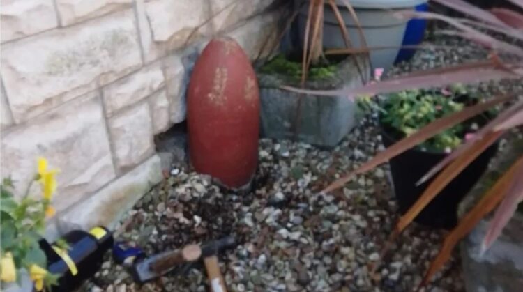 Lulja mendohej se ishte dekorative por rezultoi një raketë aktive