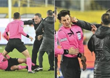 Turqi/ Presidenti i klubit hedh me një grusht në tokë arbitrin