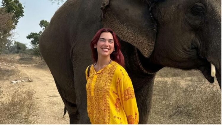 FOTO/ Me valle dhe mes elefantëve, Dua Lipa feston Vitin e Ri në Indi