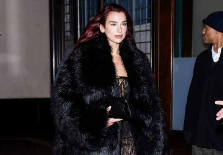 Dua Lipa shfaqet me një fustan të madh me gëzof dhe dantella