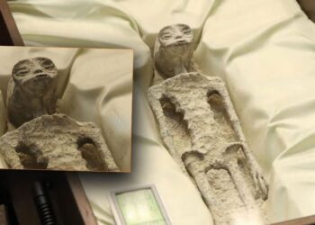 Zbulimi/ ‘Mumjet aliene’ kanë ADN me origjinë të panjohur