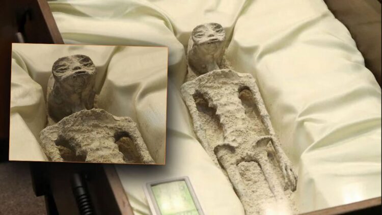 Zbulimi/ ‘Mumjet aliene’ kanë ADN me origjinë të panjohur