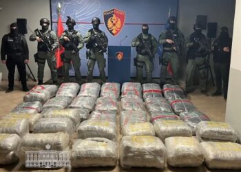 U kapën me 500 kg kanabis, jepet vendimi për 7 të arrestuarit