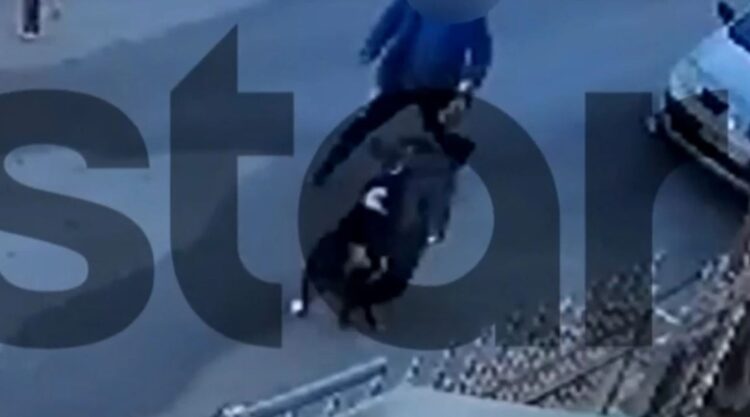 Momenti kur qeni sulmon djalin 9-vjeçar – Shikoni videon