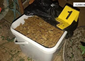 I gjendet 1 kg drogë në banesë, arrestohet 38-vjeçari në Tepelenë