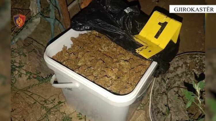 I gjendet 1 kg drogë në banesë, arrestohet 38-vjeçari në Tepelenë