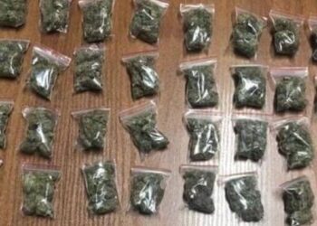 Qindra doza kanabis gati për shitje, arrestohet 20 vjeçari në Berat