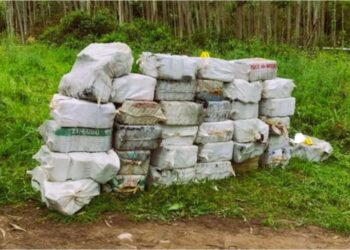 Shkatërrohet grupi kriminal i kokainës, mes tyre edhe shqiptarë