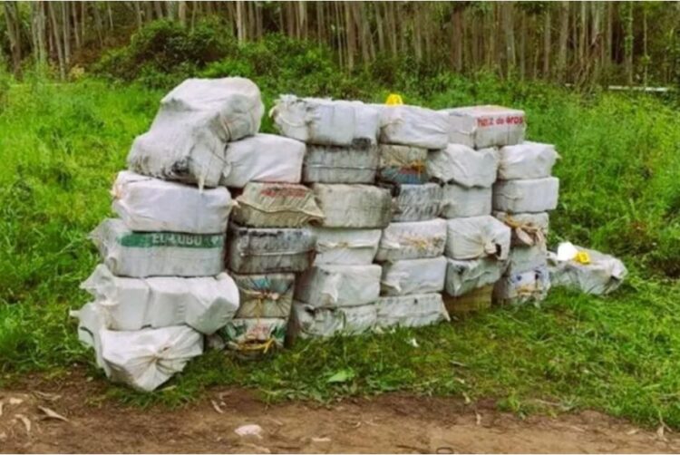 Shkatërrohet grupi kriminal i kokainës, mes tyre edhe shqiptarë