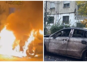 I dogjën makinën, reagon Kozaku: S’më plas fare, kam lekë me thasë