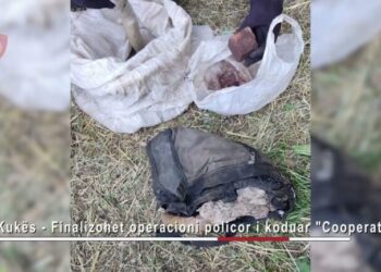 Arrestohet 52-vjeçari nga Kukësi, i përfshirë në veprimtari kriminale