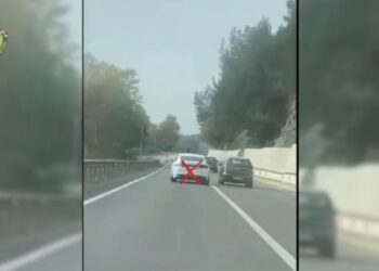 Arrestohen 24 drejtues mjetesh, pezullohen 93 leje drejtimi