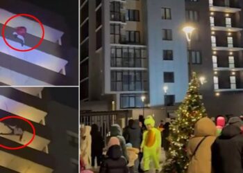 VIDEO/ Babai i veshur si Santa Claus rrëzohet para fëmijës së tij