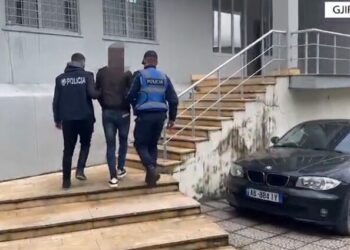 500 euro për emigrantë, 22-vjeçari arrestohet në Gjirokastër
