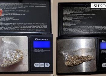 Iu gjetën fara kanabisi, arrestohet 18-vjeçari në Shkodër