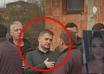 Tre shpjegimet/ Pse e vranë Liridona Ademajn?!