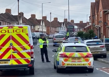 Sulm me thikë, vriten dy djem të moshës 15 dhe 16 vjeç