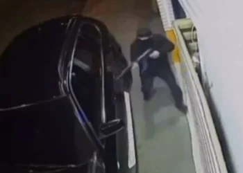 Misteri, kush e donte të vdekur mafiozin grek? Nga mafia greke, ruse, ukrainase te shqiptarët…