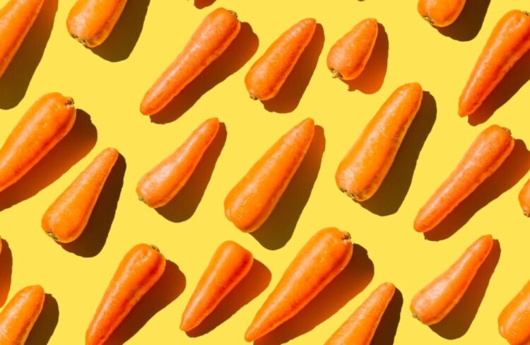 Këto janë perimet më të shëndetshme të muajit Janar