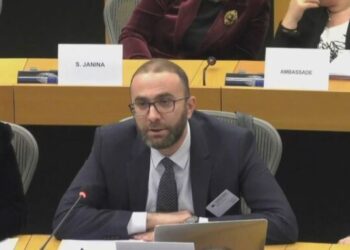 Bardhi në PE: Rama ka shtuar arrogancën, Kuvendi jashtë funksionit…